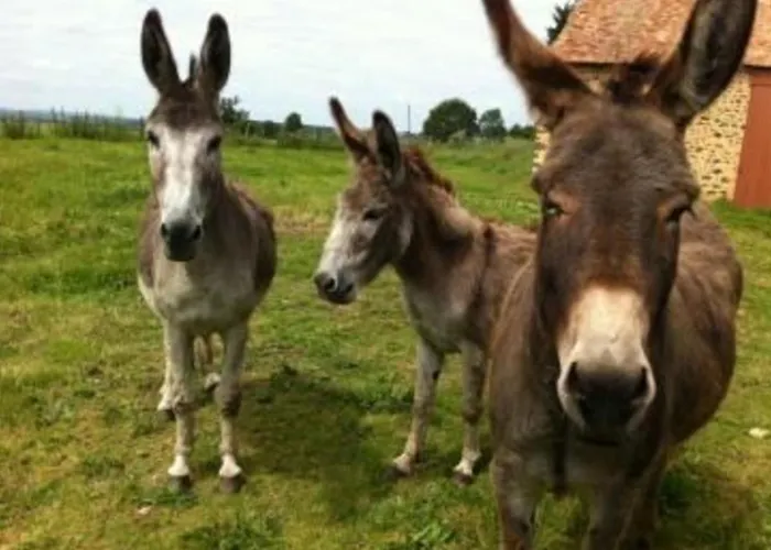 Au Calme, Jardin, Cheminee, Proche Village Et Loisirs - Fr-1-410-170 Casa de Férias